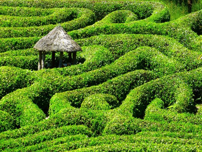 Das verrückte Labyrinth - nützliche Infos zum für dich!